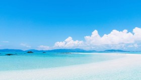 阿森纳欧冠激战毕巴竞技：火力全开，中锋挑战与战术调整